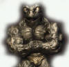 Bodybuilding figurines